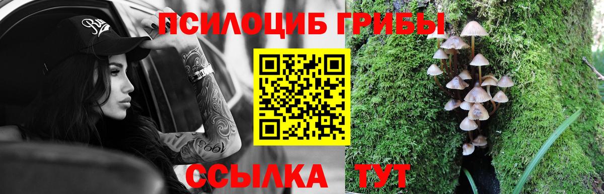 Благодарный  Галлюциногенные грибы Psilocybe  Псилоцибиновые грибы мицелий  Вход с VPN 
